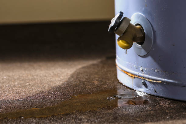 Best Emergency water damage restoration  in Cassopolis, MI