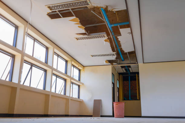 Best Flood restoration services  in Cassopolis, MI