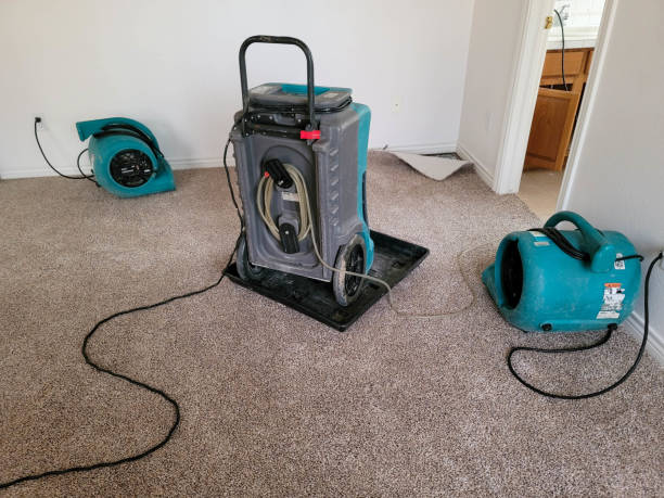 Best Sewage cleanup and water damage restoration  in Cassopolis, MI