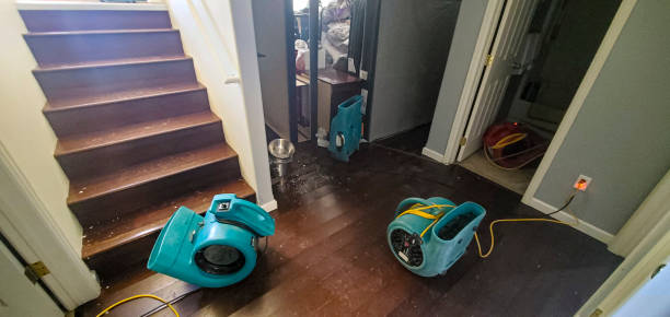 Best Water damage contractors near me  in Cassopolis, MI