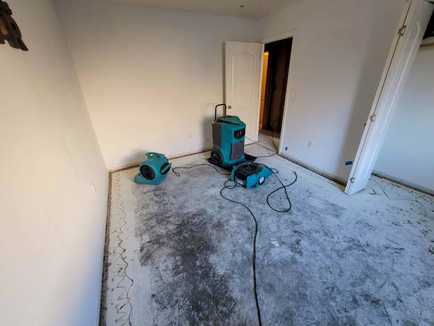 Best Local water damage restoration  in Cassopolis, MI