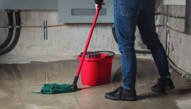Best Fire Damage Restoration  in Cassopolis, MI