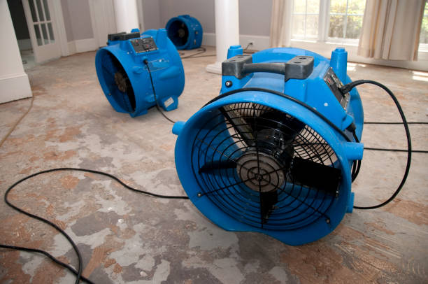 Best Fire Damage Restoration  in Cassopolis, MI