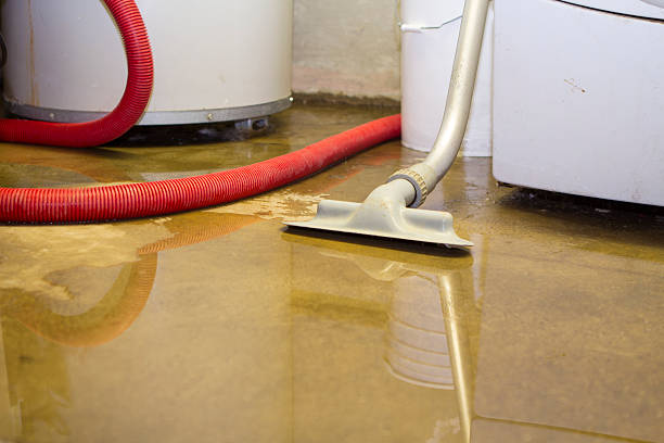 Best Emergency water extraction  in Cassopolis, MI
