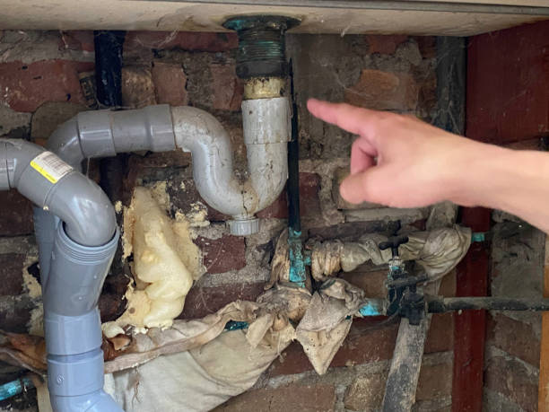 Best Carpet water damage restoration  in Cassopolis, MI