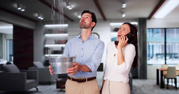 Best Basement water damage restoration  in Cassopolis, MI