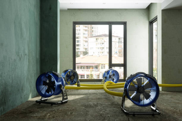 Best Water damage restoration services  in Cassopolis, MI